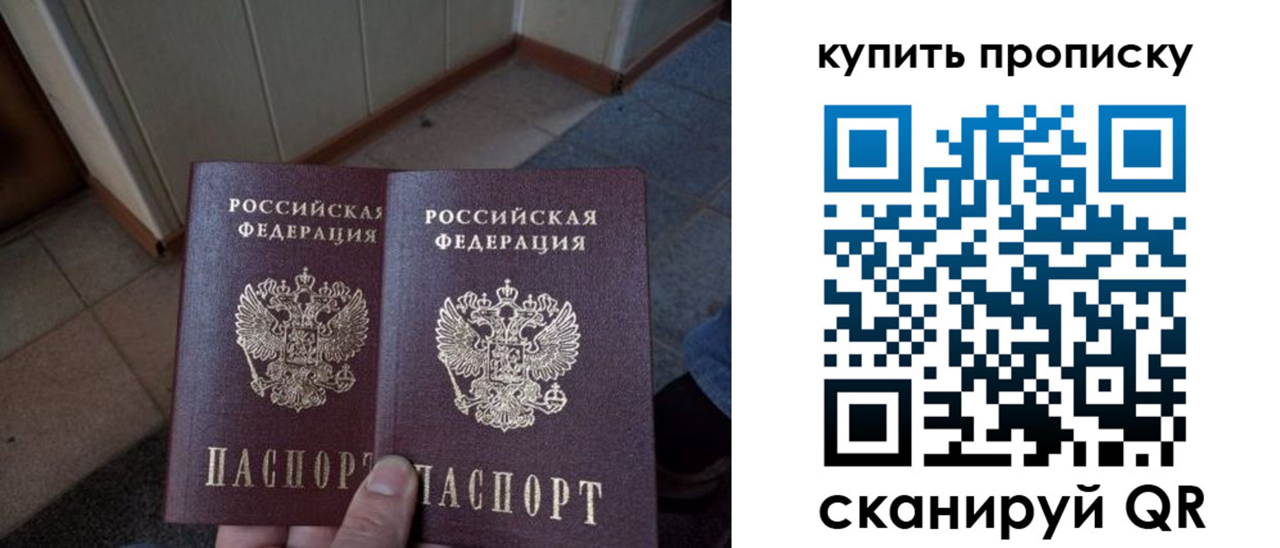 регистрация для школы в Лыткарино