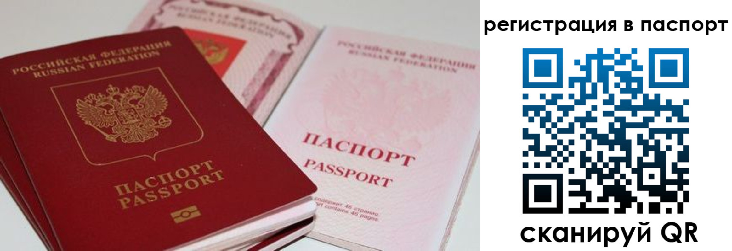 временная регистрация недорого в Лыткарино
